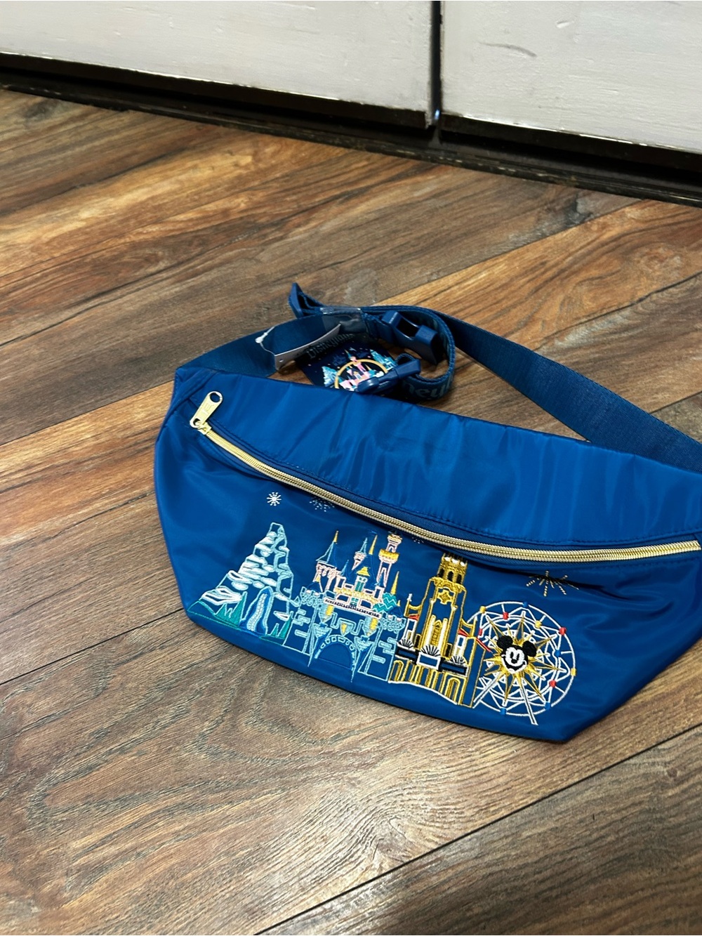 Disney World Official Belt Bag 2024 new